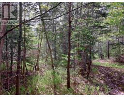 Lot 16 Walkerville Rd., Walkerville, NS B0E1J0 Photo 9