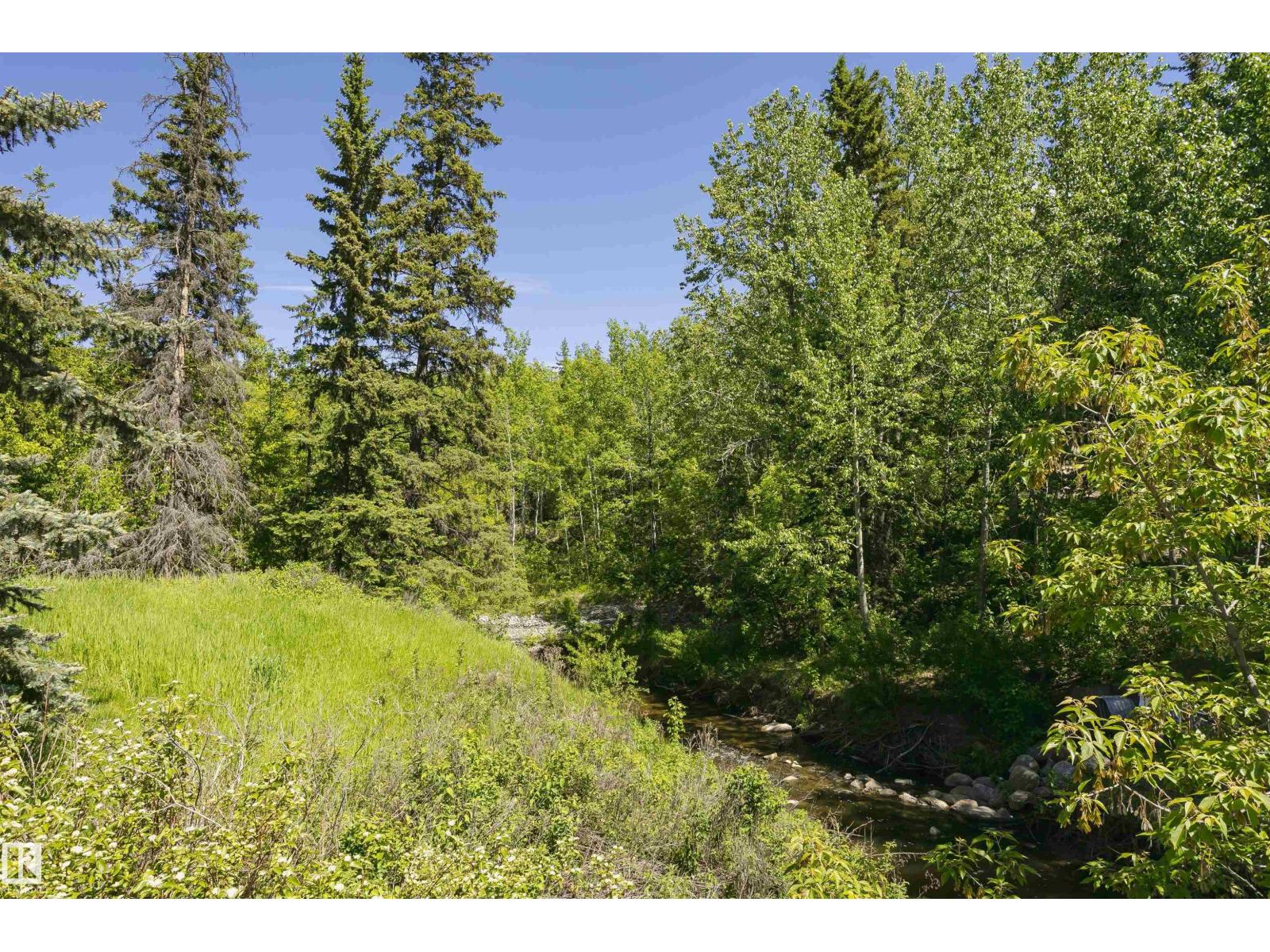 #208 9907 91 AV NW - 50
