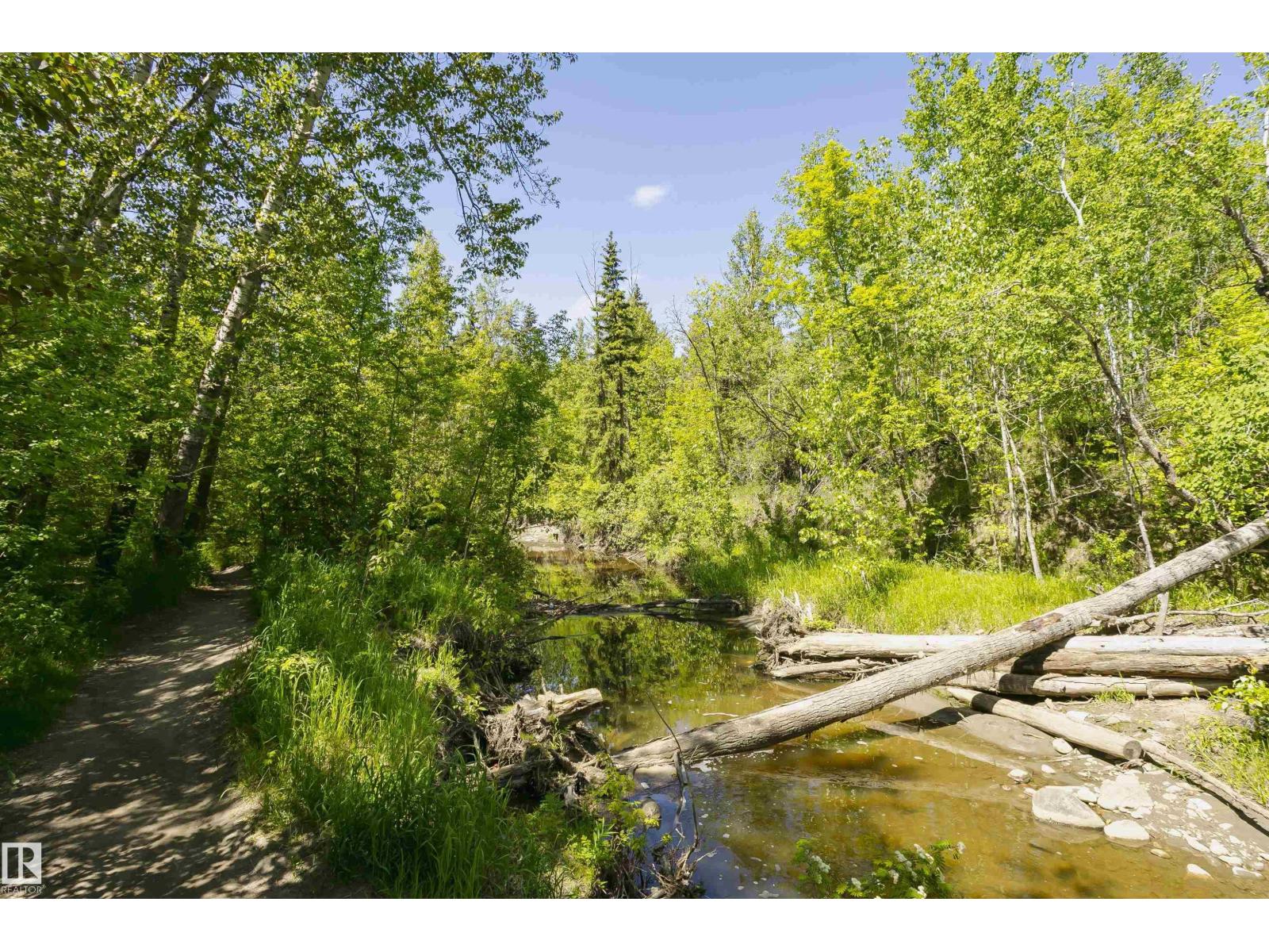 #208 9907 91 AV NW - 54