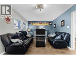 101 Ingram Park Drive E, Brooks, AB T1R0K3 Photo 21
