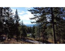 1020 Bullmoose Way, Osoyoos, BC V0H1V6 Photo 34