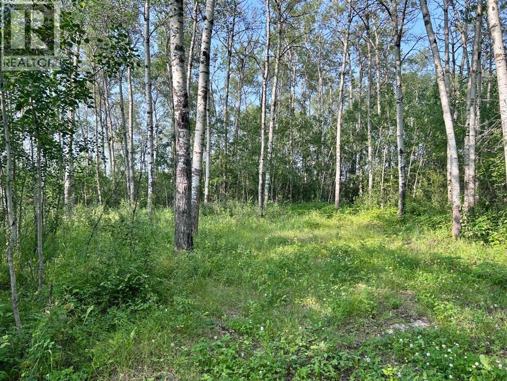 67325 Churchill Park Rd, Lac La Biche