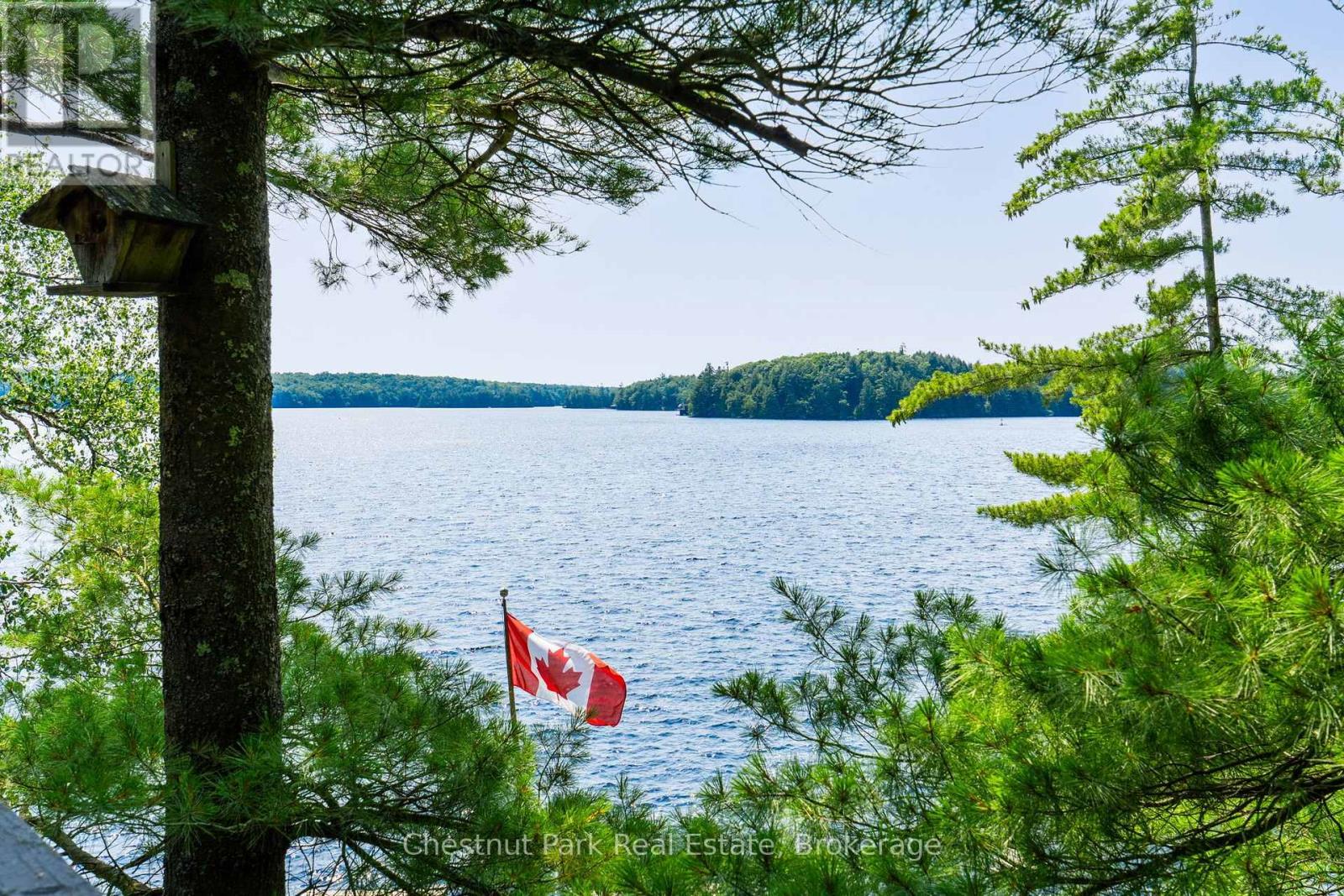 9 (9 RENLEY RD) - 1181 WALKERS POINT ROAD - 8