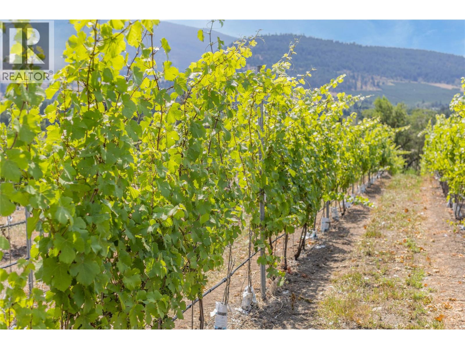 9269 Highway 6, Coldstream