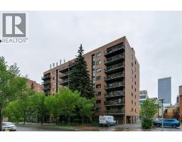 306, 220 13 Avenue SW - photo 18