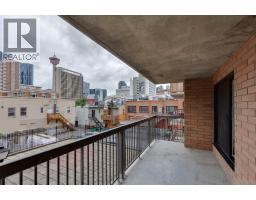 306, 220 13 Avenue SW - photo 9