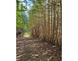 10400 And 10800 Concession 6 Road, Uxbridge, ON L9P1R2 Photo 26