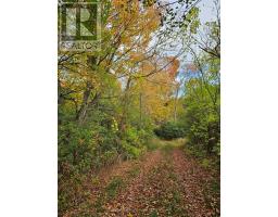 10400 And 10800 Concession 6 Road, Uxbridge, ON L9P1R2 Photo 46