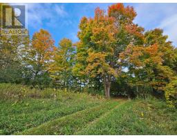 10400 And 10800 Concession 6 Road, Uxbridge, ON L9P1R2 Photo 28