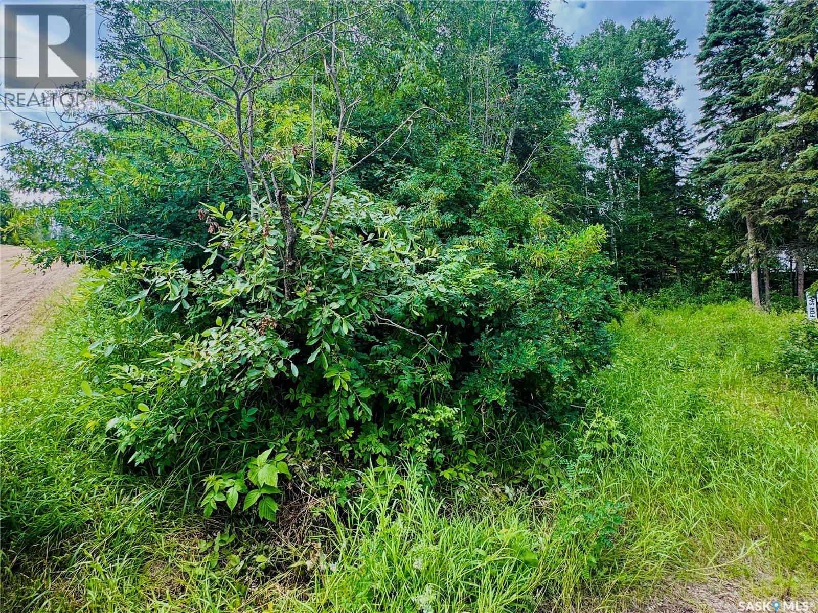 SK 264 Carwin Park DRIVE, Emma Lake, Saskatchewan, S0J0N0, Emma Lake, Saskatchewan — photo 4 of 5