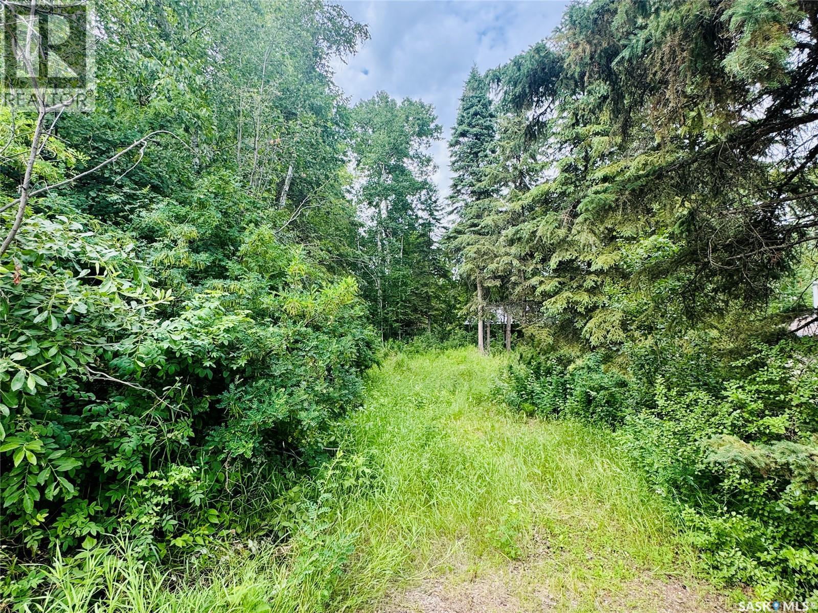 SK 264 Carwin Park DRIVE, Emma Lake, Saskatchewan, S0J0N0, Emma Lake, Saskatchewan — photo 5 of 5