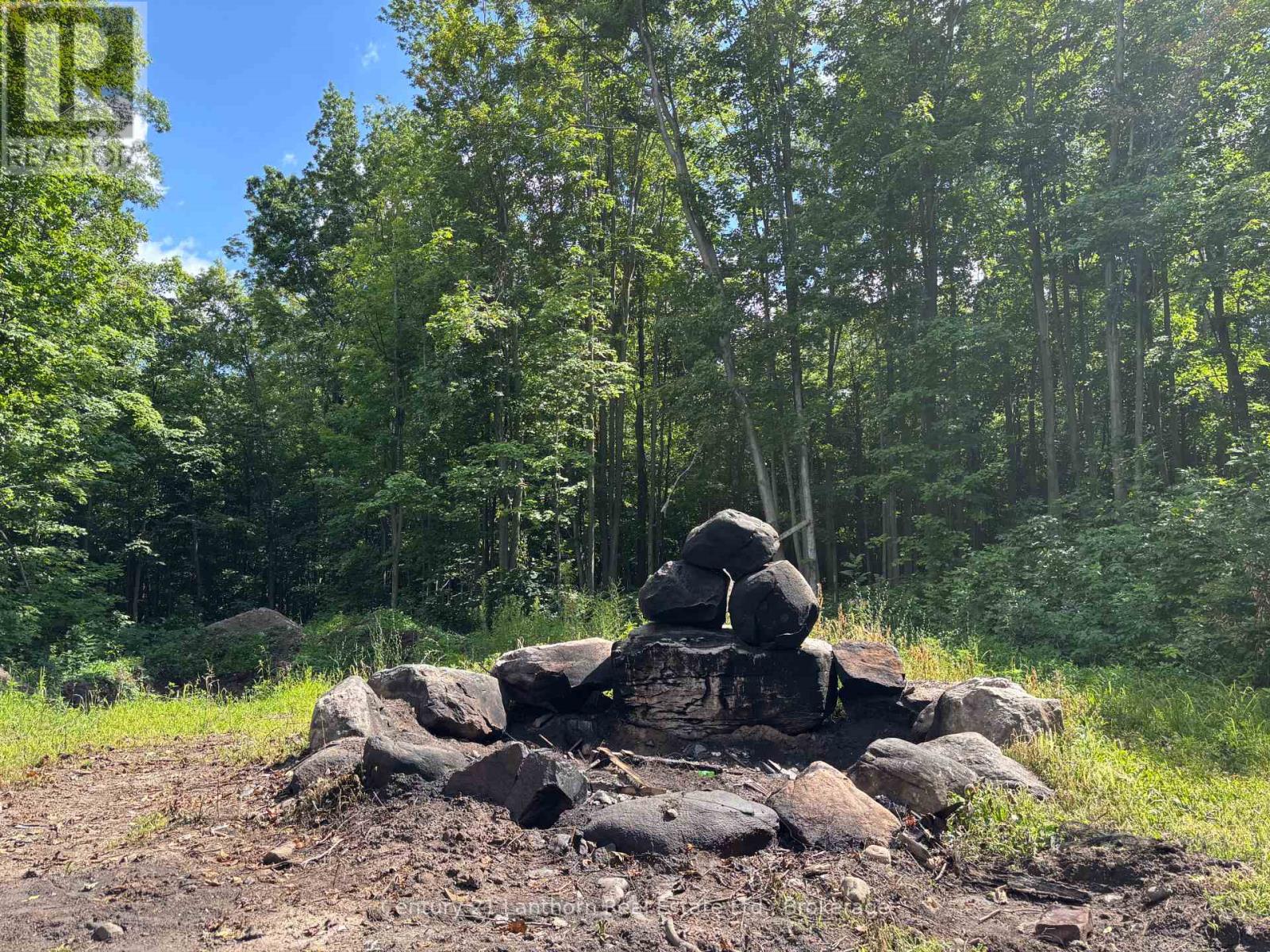 790 CLEARVIEW ROAD - 36