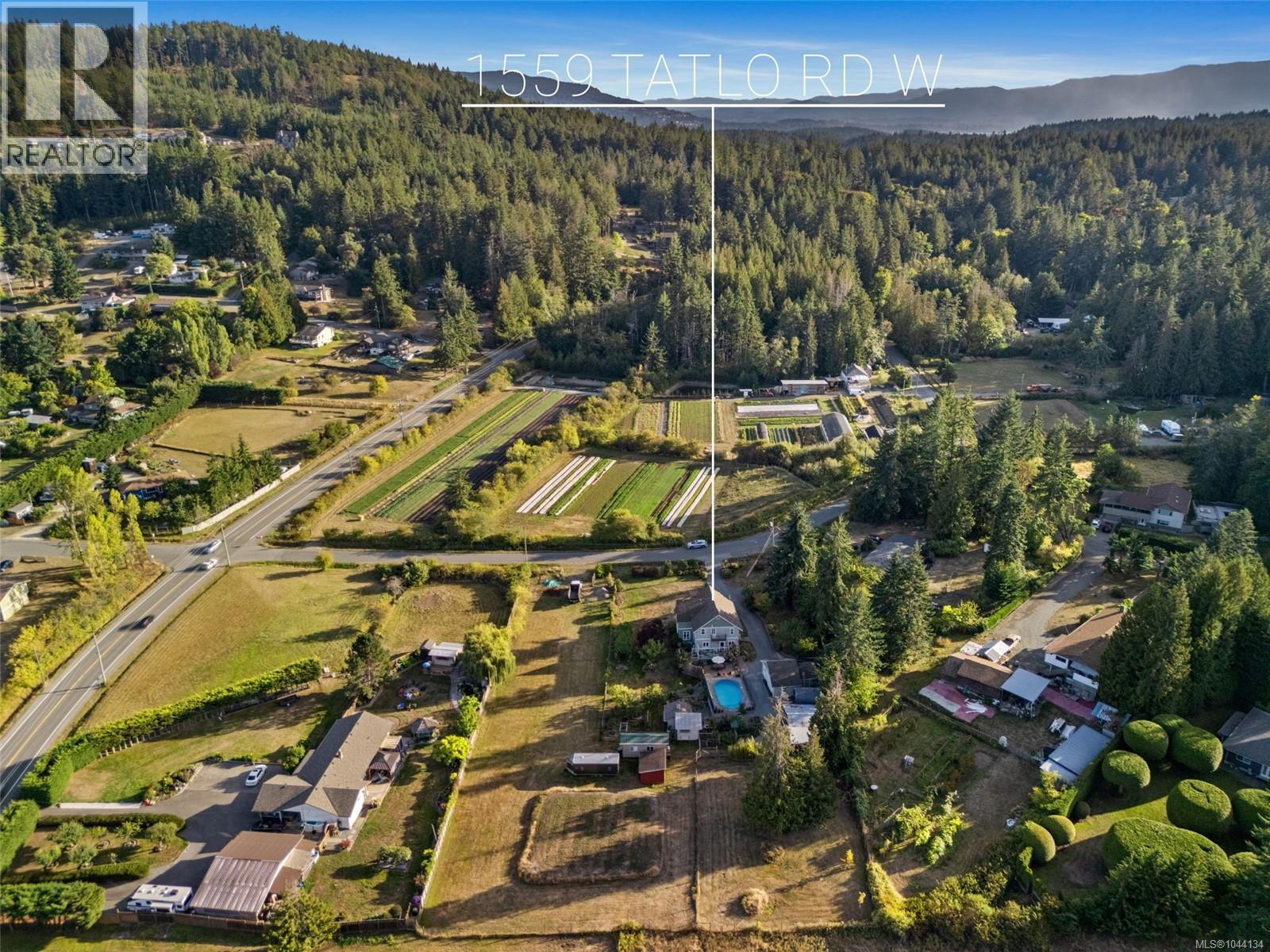 1559 Tatlo Rd - 4