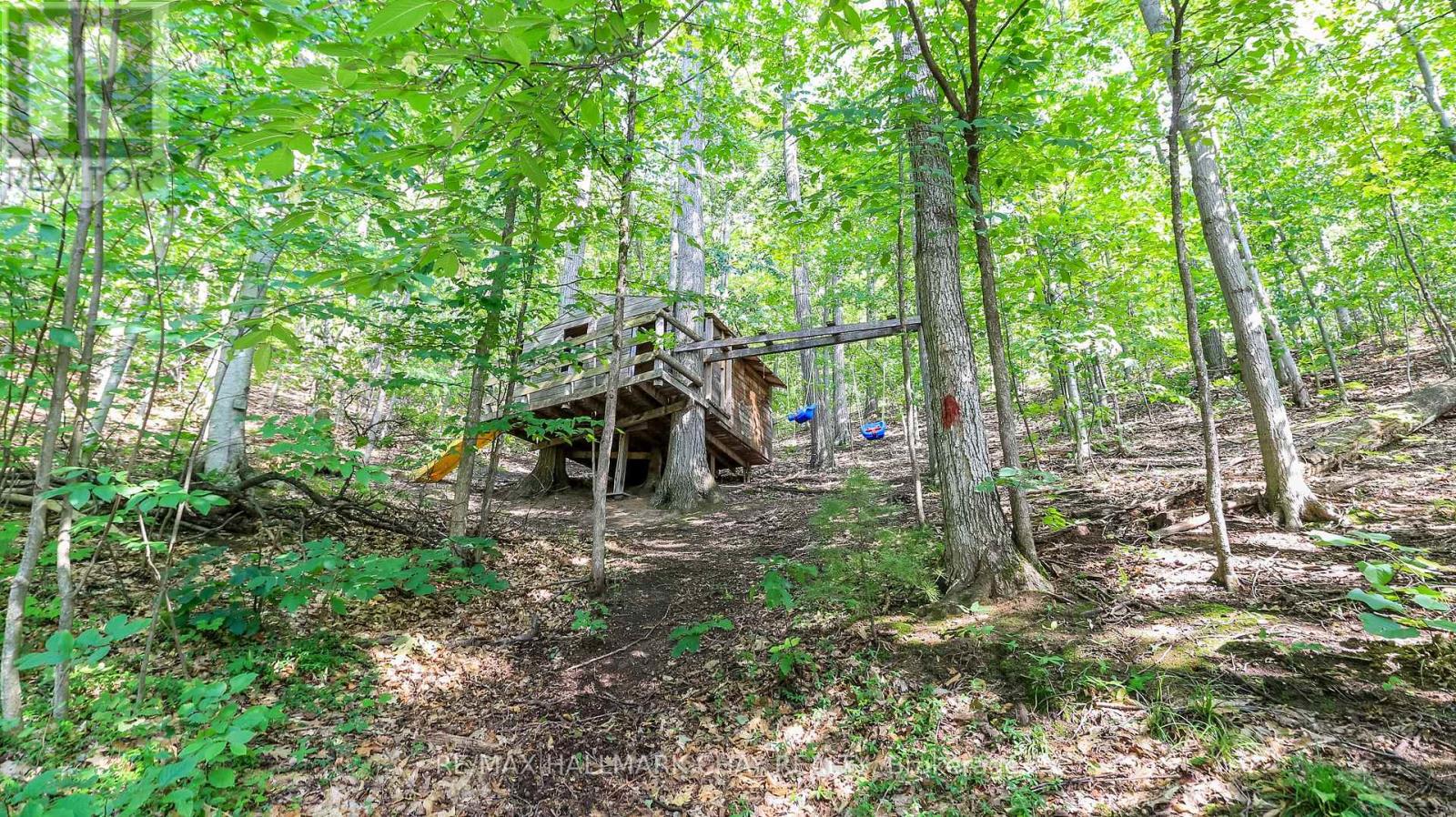 46 PINE RIDGE TRAIL - 27