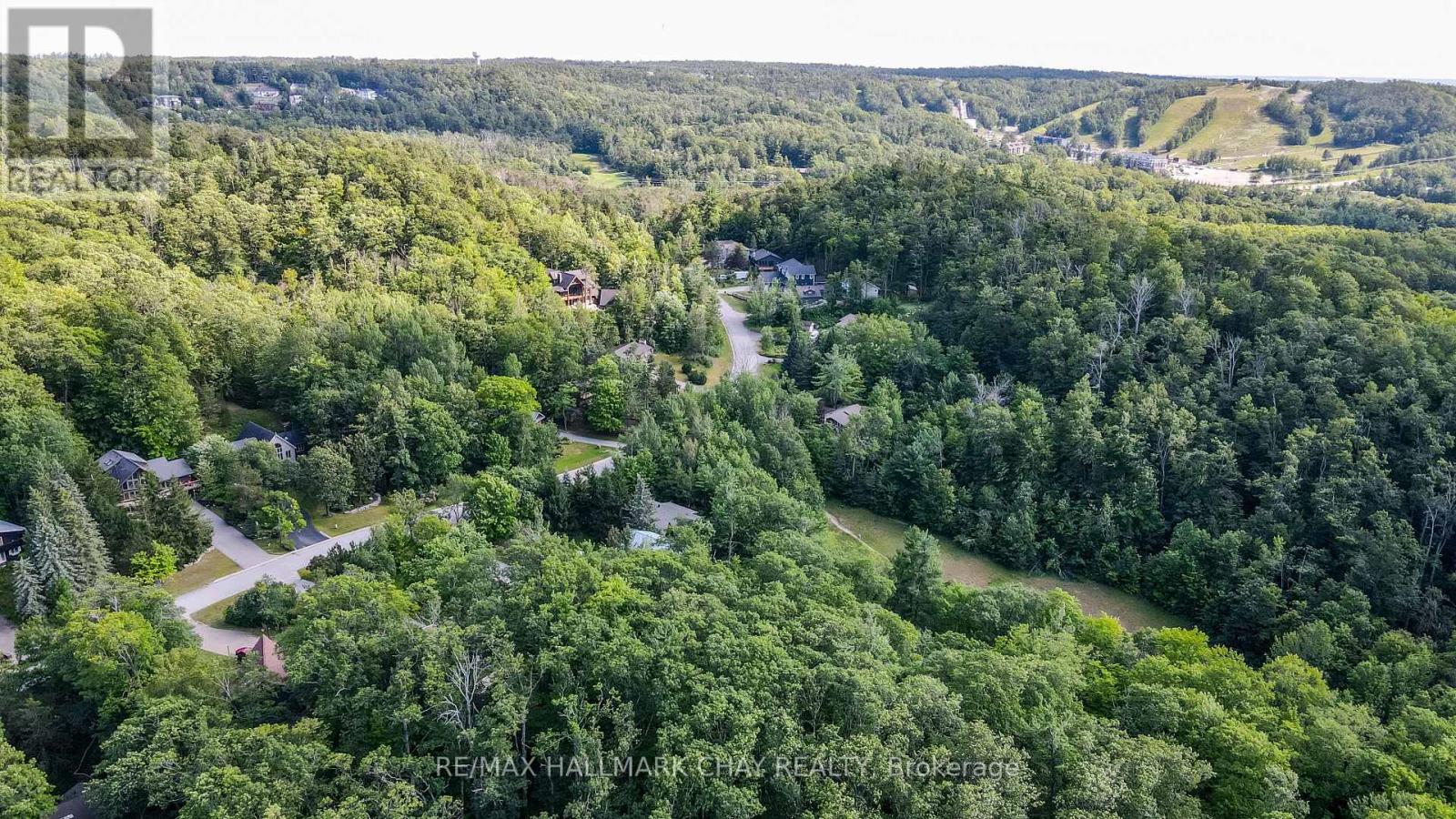 46 PINE RIDGE TRAIL - 25