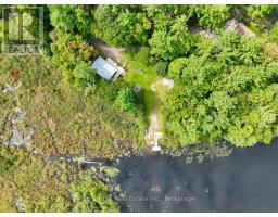 #8 - 1006 Youngs Road, Muskoka Lakes, ON P0B1J0 Photo 24
