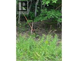 Lot Route 710, Cambridge Narrows, NB E4C4E6 Photo 22