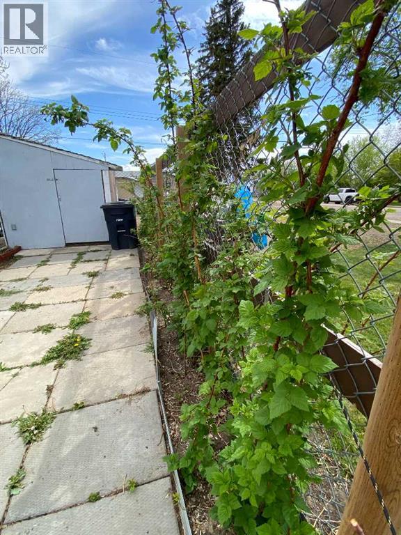 23 Pine Avenue W - 29