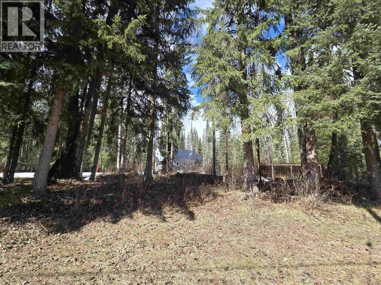 13740 DOME CREEK ROAD - 26