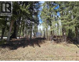 13740 Dome Creek Road, Dome Creek, BC V0J1H0 Photo 26