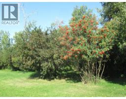 2230 Rainy Creek Road Highway, Rural Lacombe County, AB T0C0J0 Photo 11