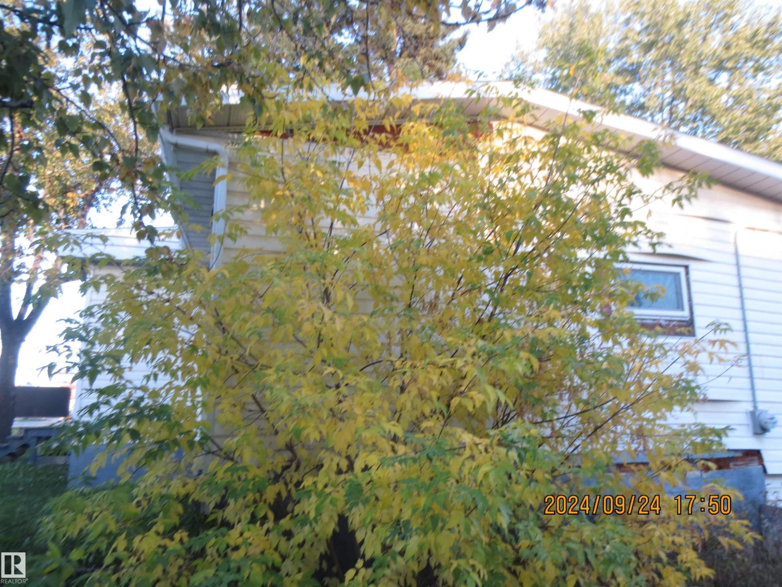 4615 4 Avenue - 14
