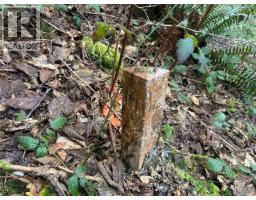 1177 Silver Spray Dr, Sooke, BC V9Z1L8 Photo 6