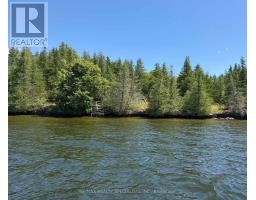 575 Grand Island, Kawartha Lakes, ON K0M1K0 Photo 6