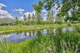 1847 Carriere Drive, St Adolphe, MB R5A1A2 Photo 48