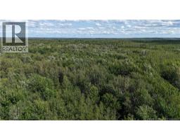 Lot 21-2 St-augustin, Adamsville, NB E4T2E9 Photo 10