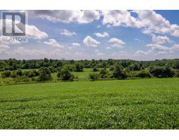 775678 Highway 10, Chatsworth, ON N0C1H0 Photo 29