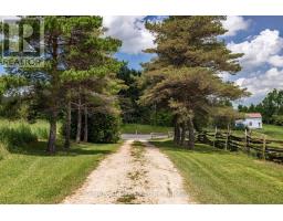 775678 Highway 10, Chatsworth, ON N0C1H0 Photo 41