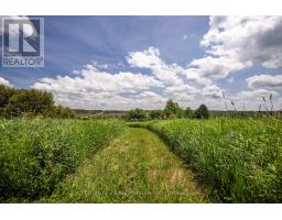 775678 Highway 10, Chatsworth, ON N0C1H0 Photo 30