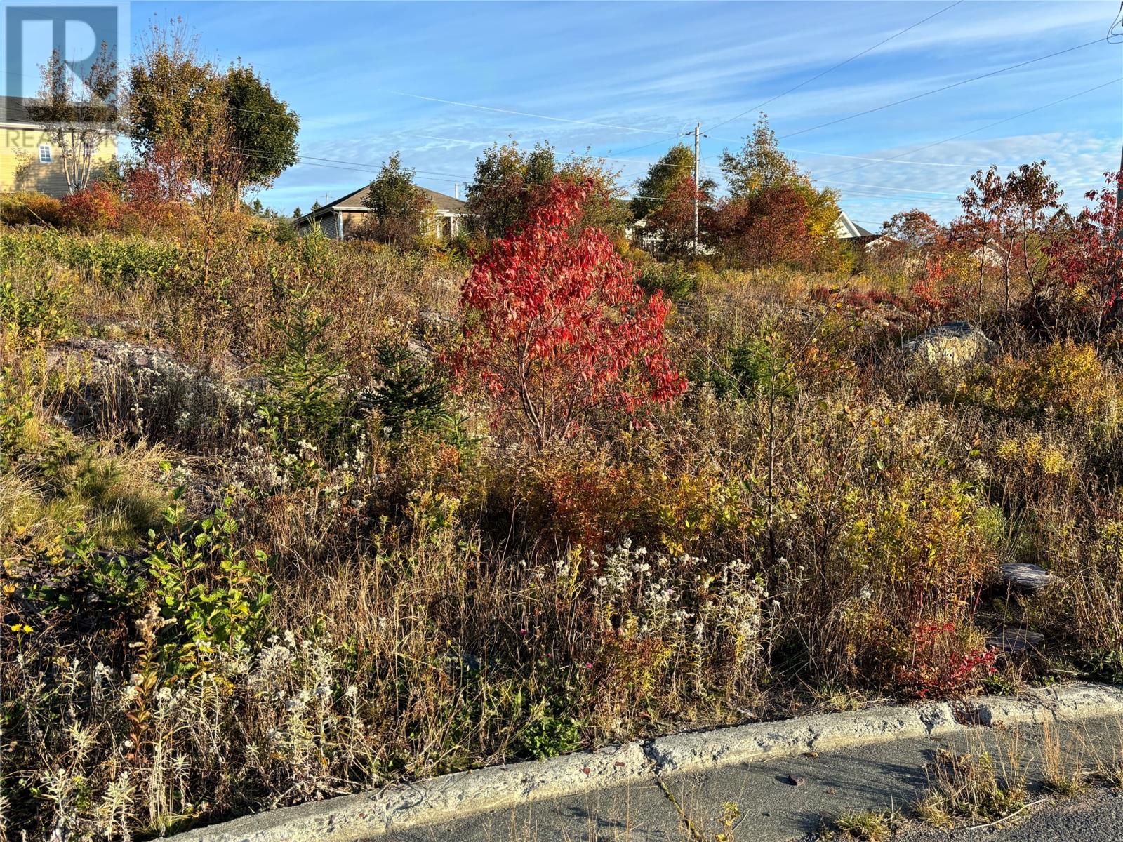 59 Badcock Boulevard, Bay Roberts — photo 2
