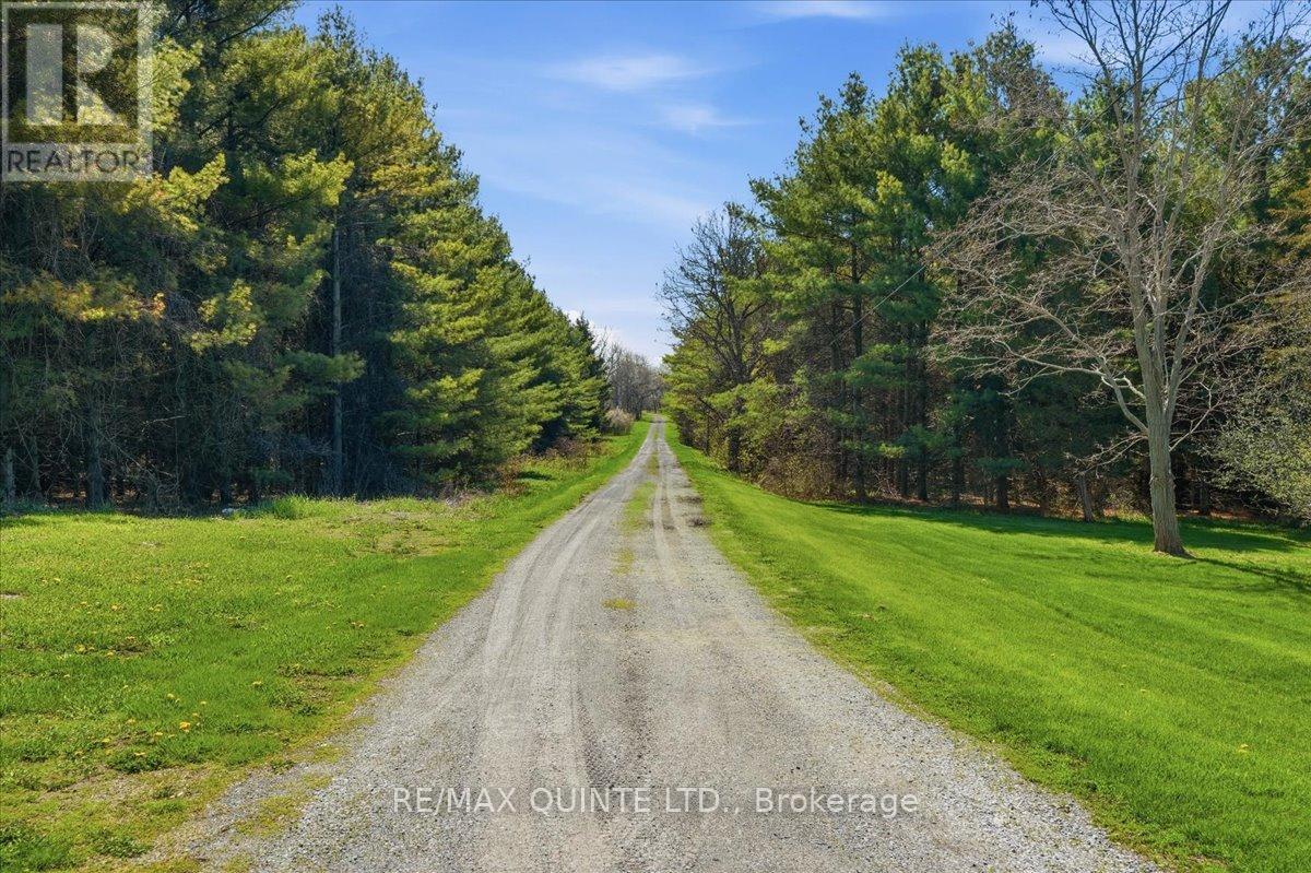 1686 COUNTY ROAD 13 - 37