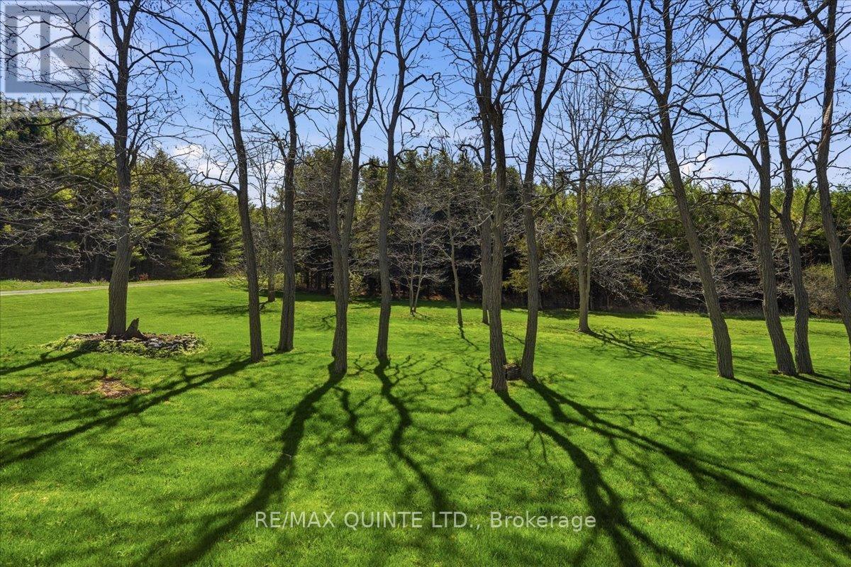 1686 COUNTY ROAD 13 - 38