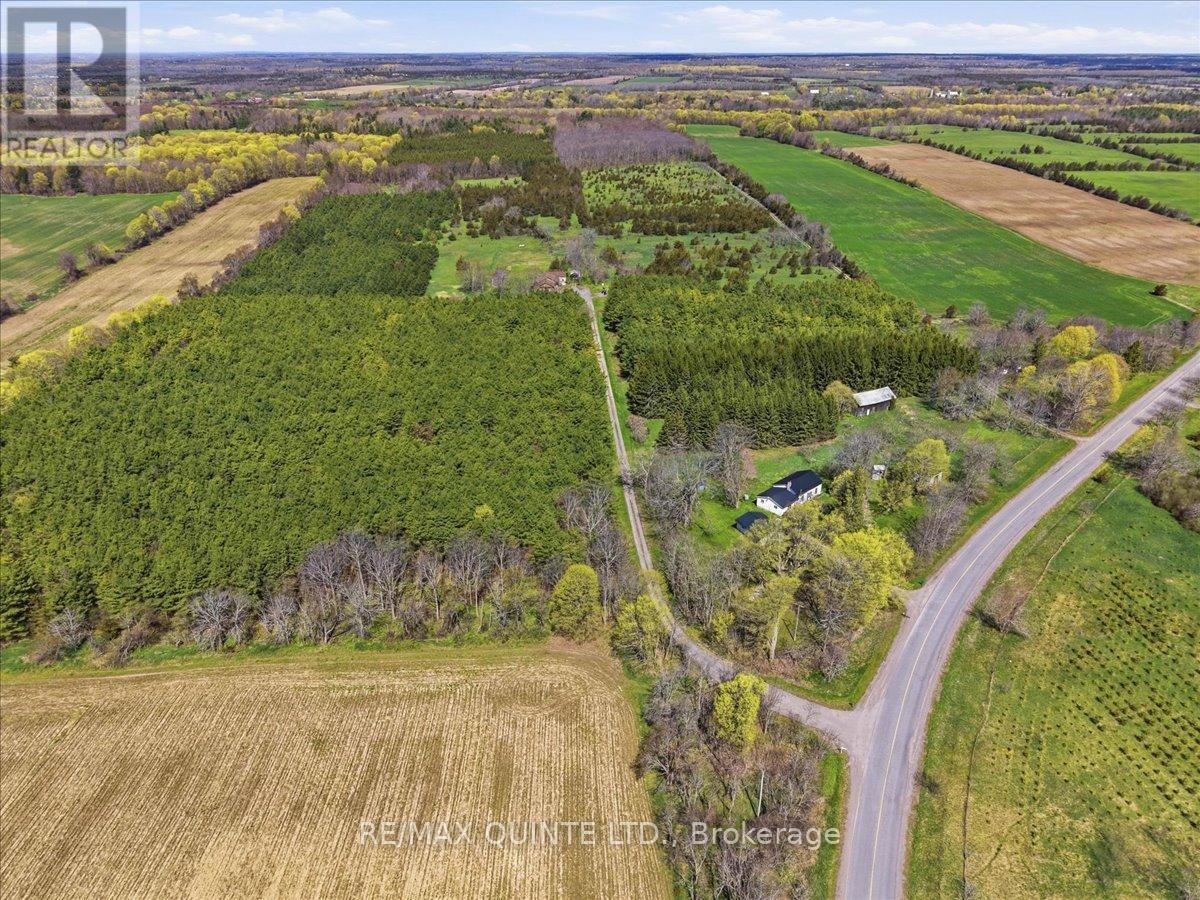 1686 COUNTY ROAD 13 - 40