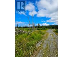 168 Hodgewater Line thumbnail 3