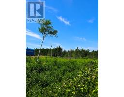 168 Hodgewater Line thumbnail 5