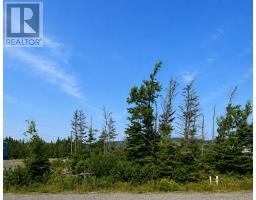 168 Hodgewater Line thumbnail 7