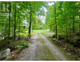 2665a Foymount Road, Bonnechere Valley, ON K0J1T0 Photo 43