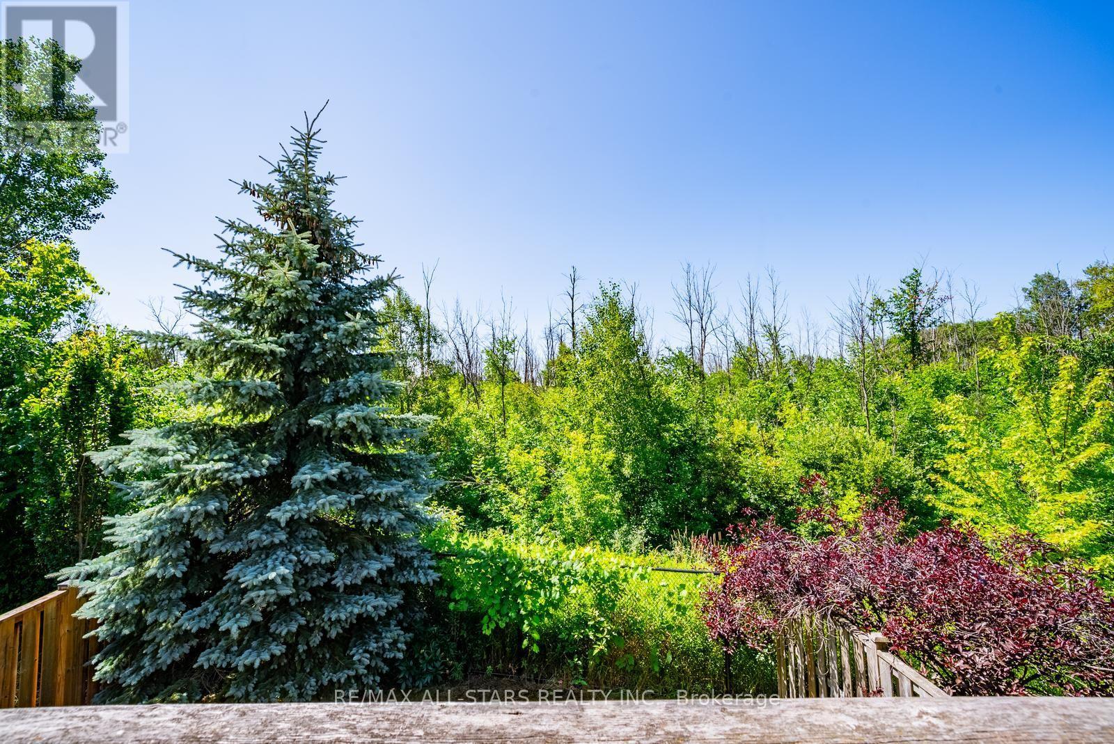 281 REEVES WAY BOULEVARD - 29