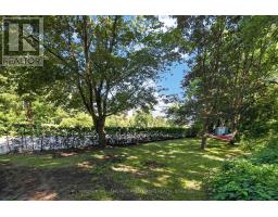341 Cotter Street, Newmarket, ON L3Y3X9 Photo 35