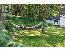 341 Cotter Street, Newmarket, ON L3Y3X9 Photo 37