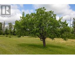 312 Fairville Road, Elliottvale, PE C0A1T0 Photo 37