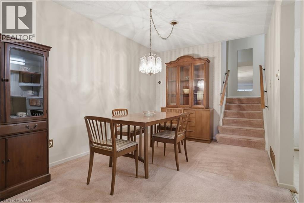 1167 SATURNIA Crescent - 11