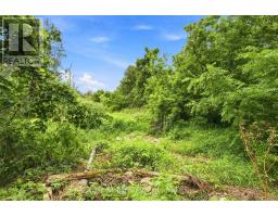 0 Couves Lane, Scugog, ON L0C1B0 Photo 9