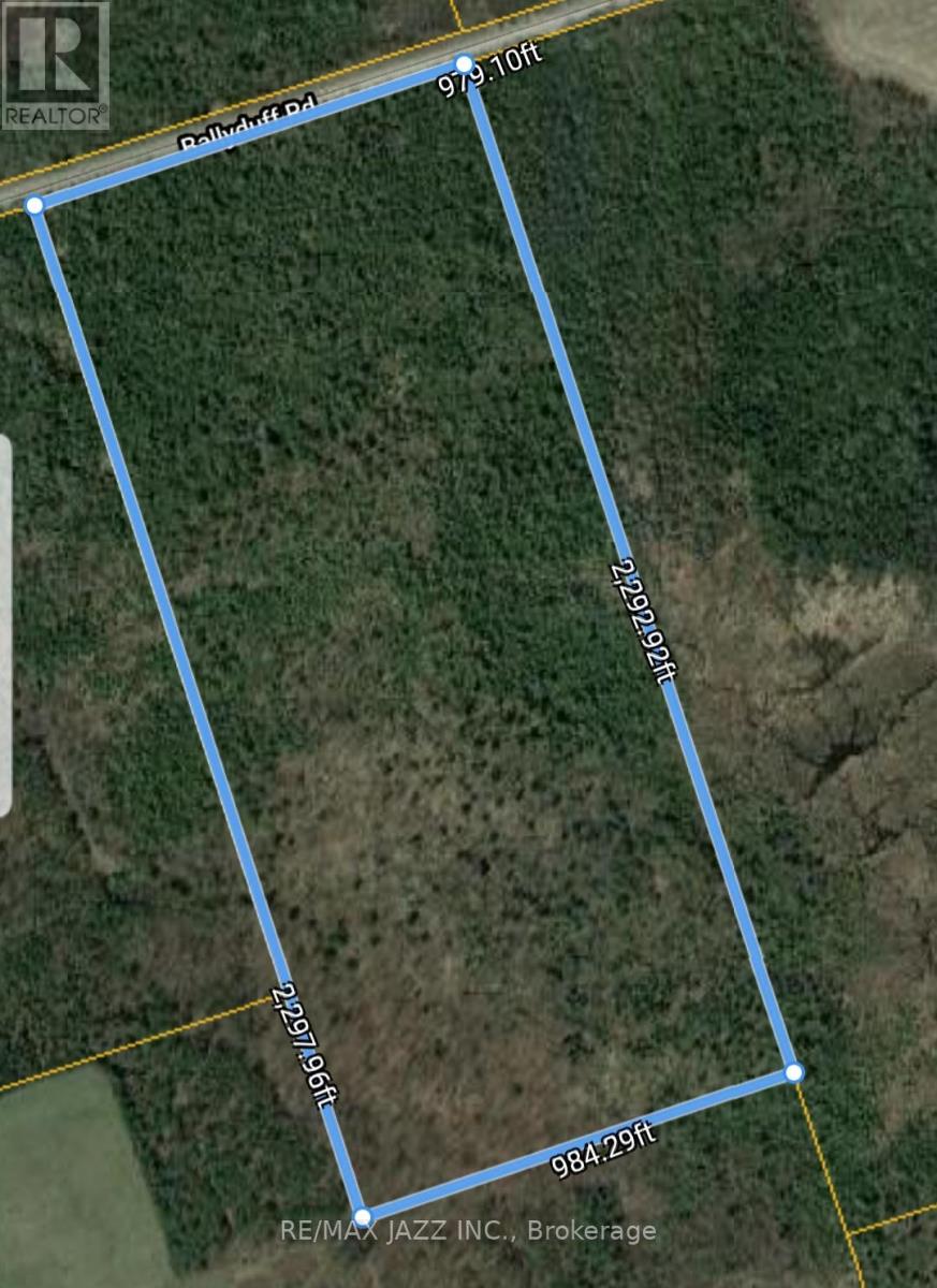 0 BALLYDUFF ROAD, Kawartha Lakes (Manvers) — photo 2