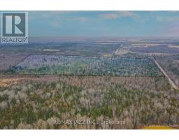 0 Ballyduff Road, Kawartha Lakes, ON L0A1K0 Photo 12