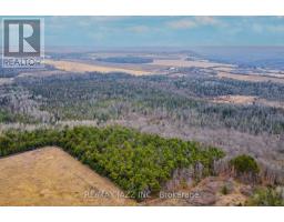 0 Ballyduff Road, Kawartha Lakes, ON L0A1K0 Photo 13